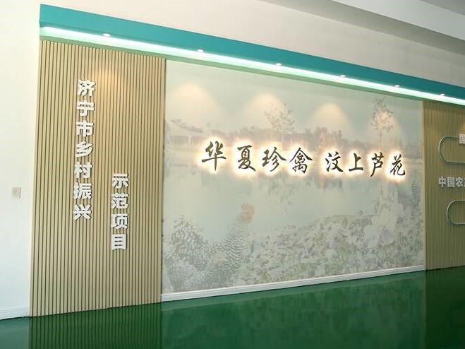 【齊魯網】濟寧2022上半年重點項目巡禮：汶上蘆花雞全產業(yè)鏈標準化生產基地項目